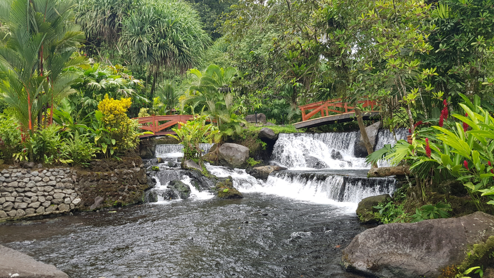 Holistic Detox and Yoga Retreat Living in Nosara, Costa Rica