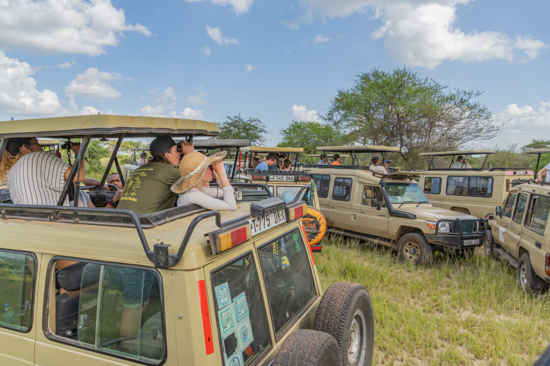 Safari and Summit: Adventure Travel in Tanzania's Serengeti and Kilimanjaro