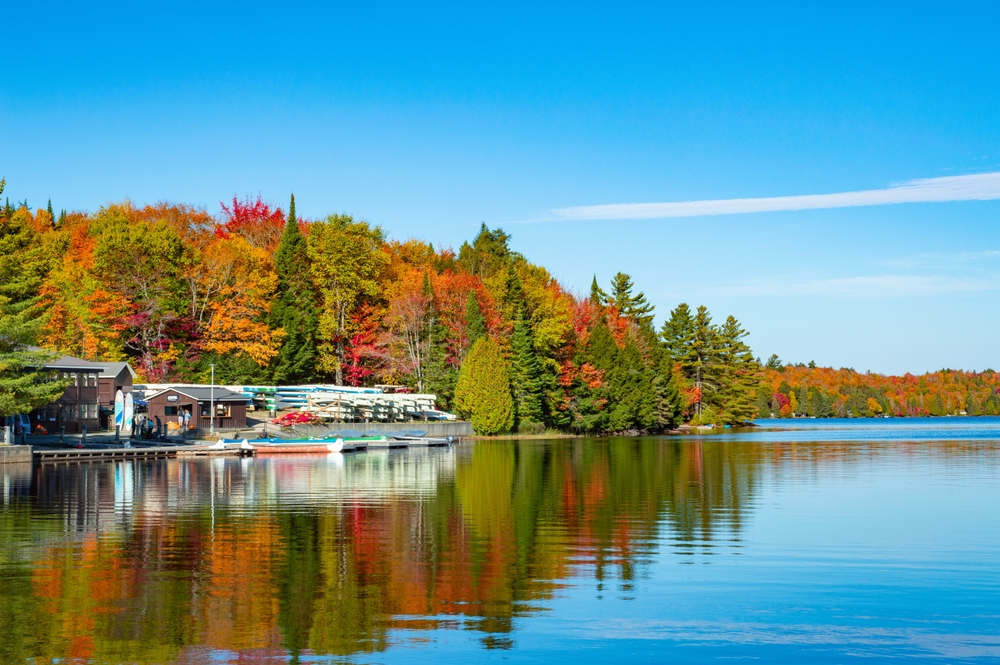 Family Canoeing and Wildlife Watching in Algonquin Provincial Park