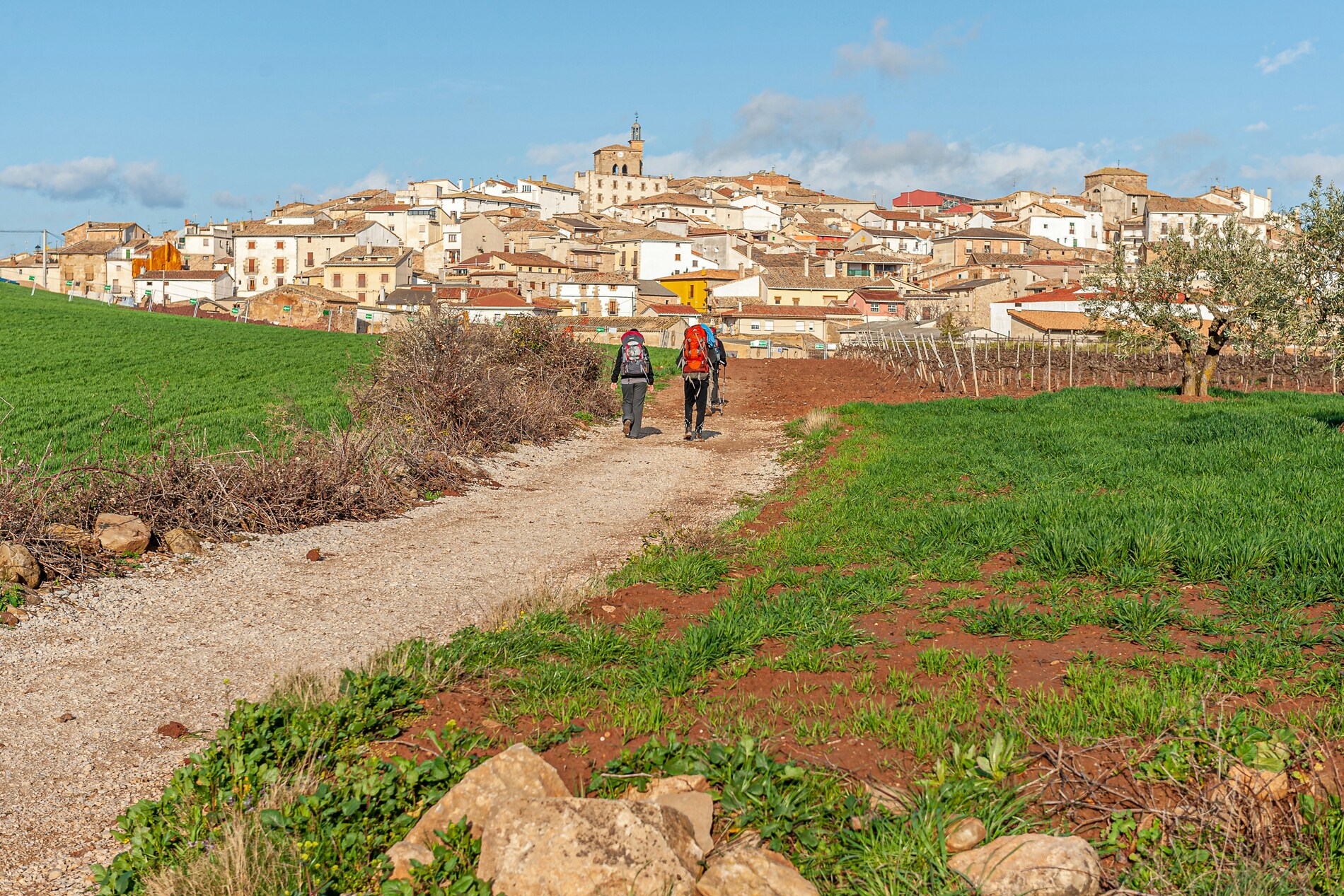 El camino de santiago path