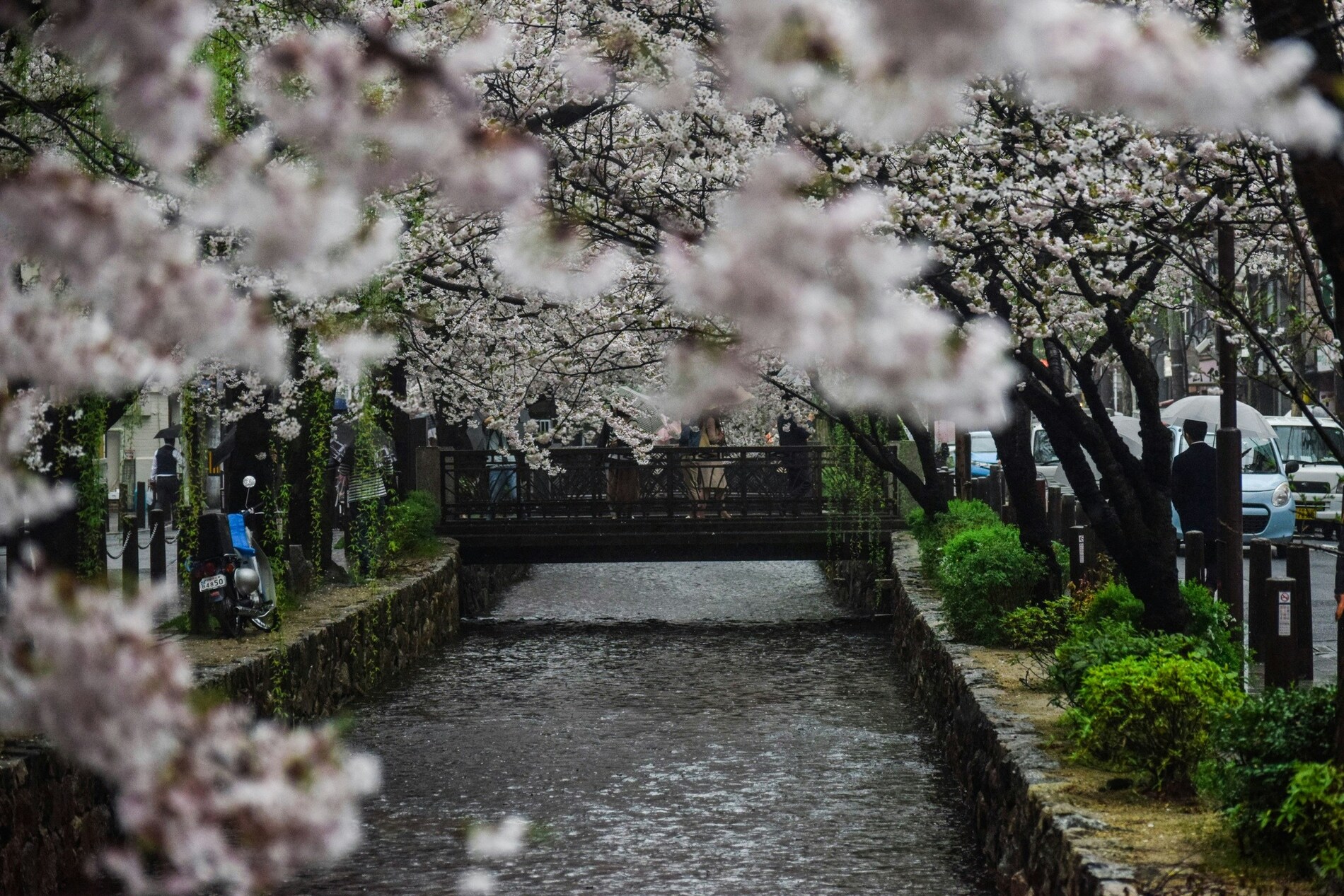 Kyoto path