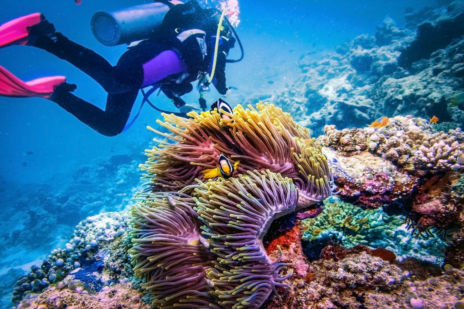 Belize Barrier Reef