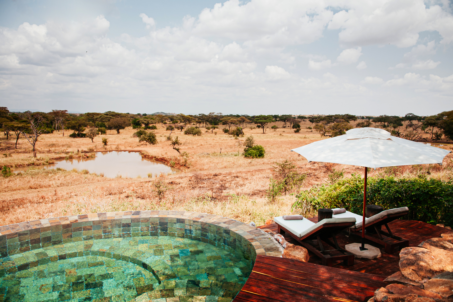 African Savannah