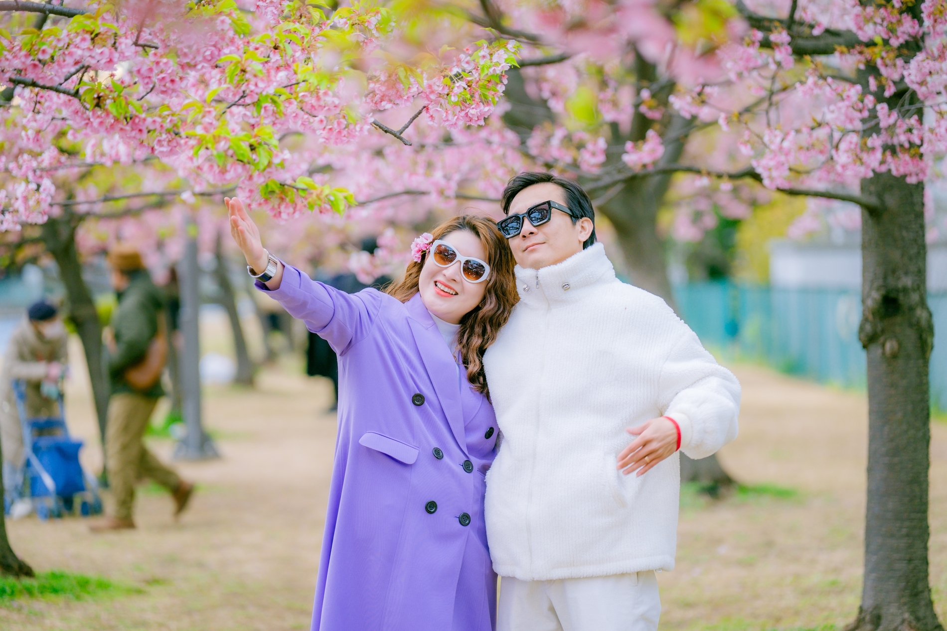 Romantic Kyoto