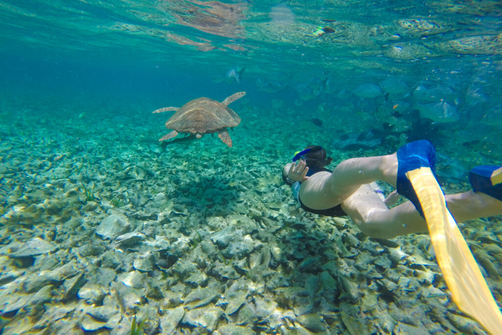 Belize Barrier Reef
