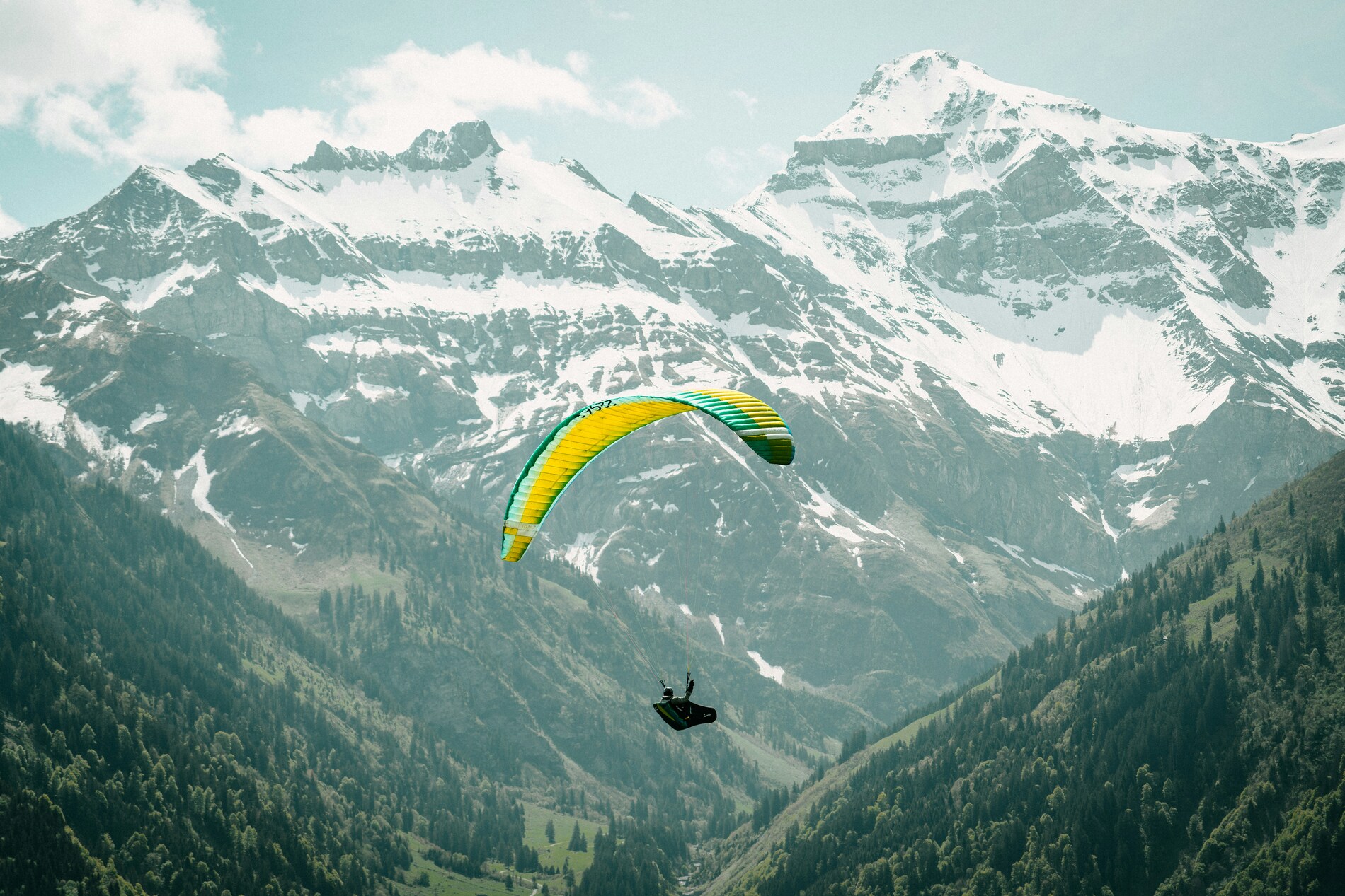 The alps