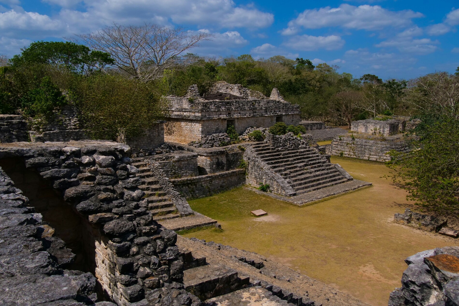 Yucatán jungle
