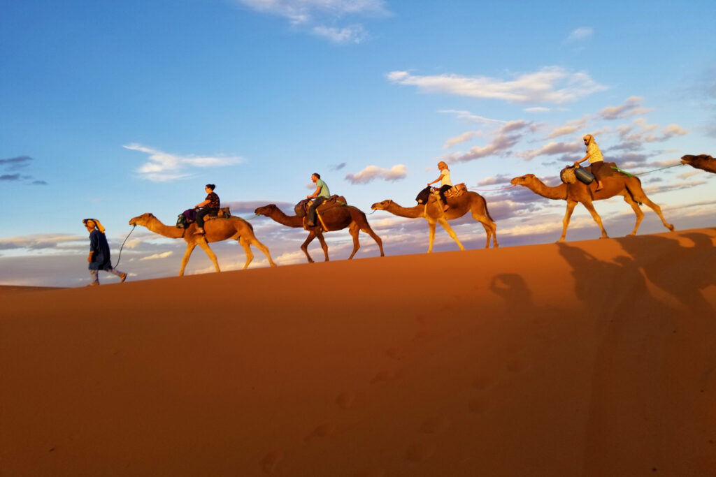 Sahara dunes
