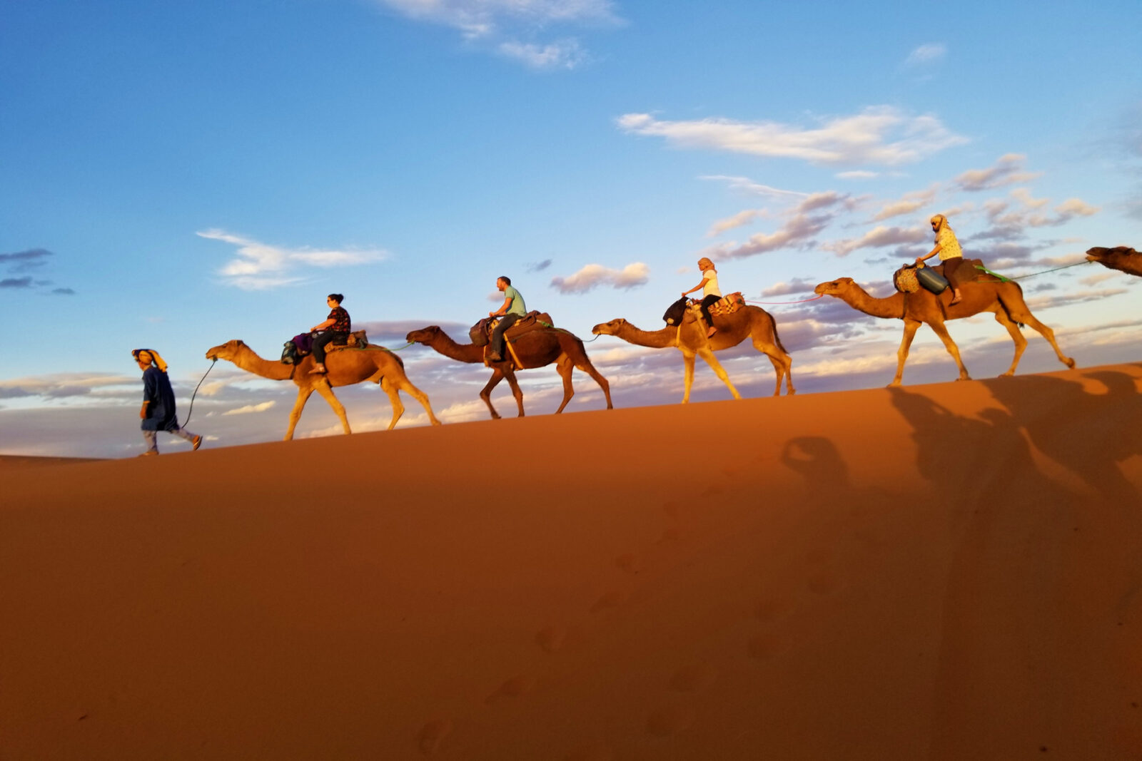 Sahara dunes