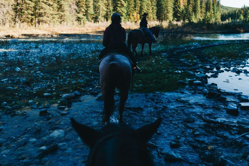 Rocky mountains