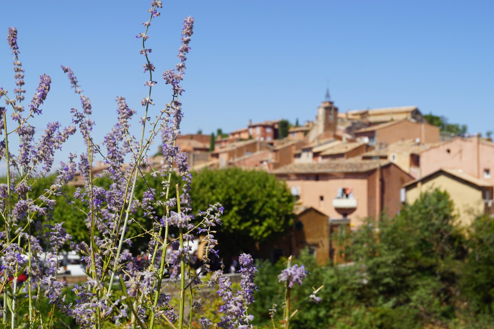 Provence Village