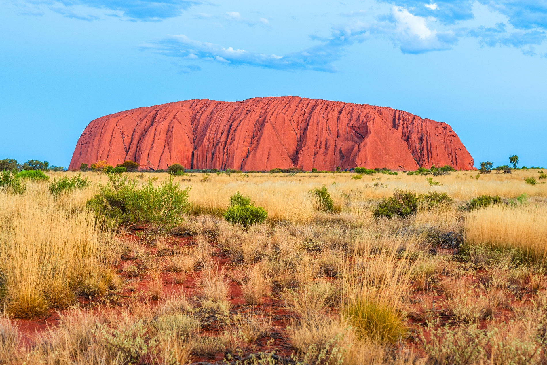 Australian outdoors