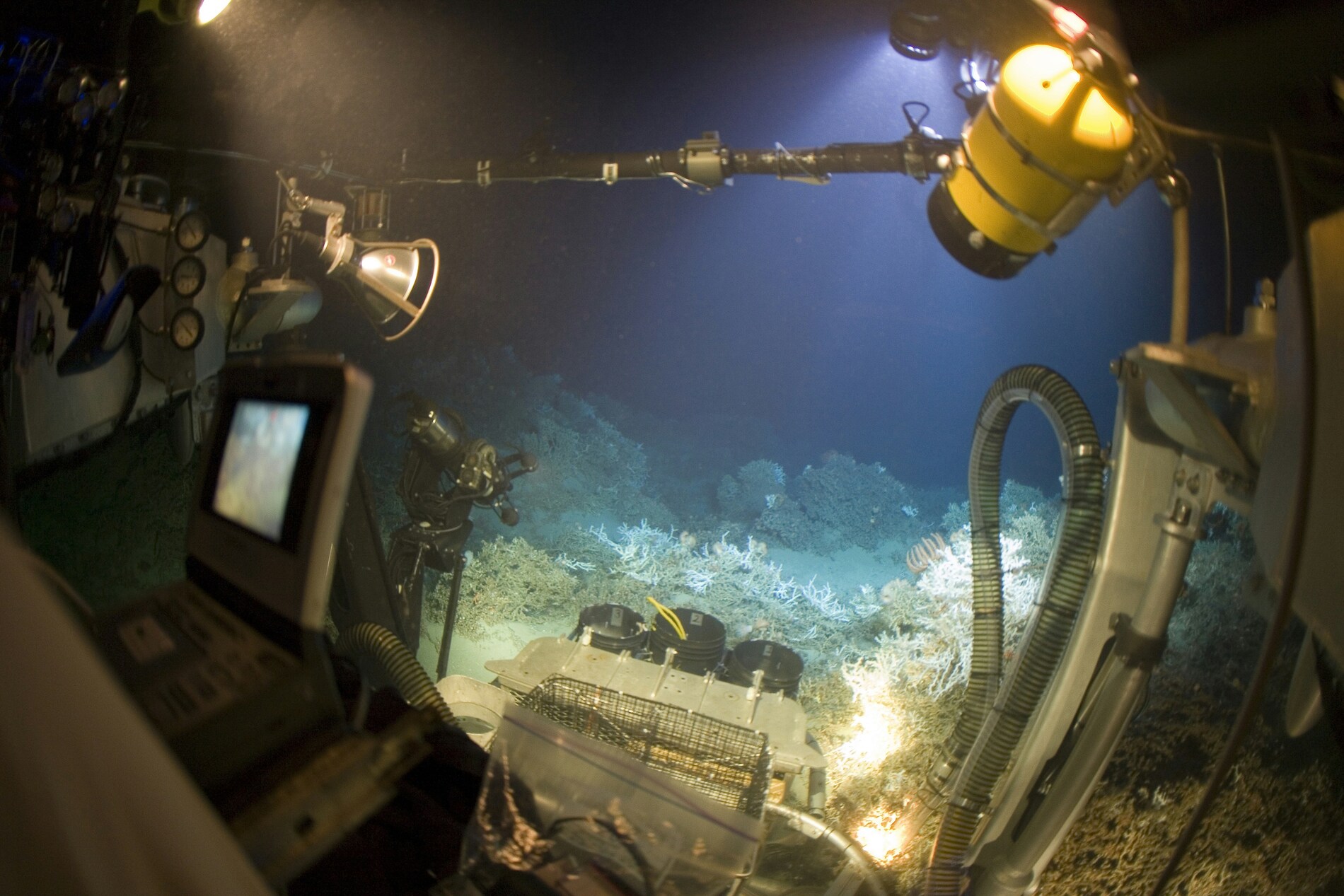 Travel under the sea