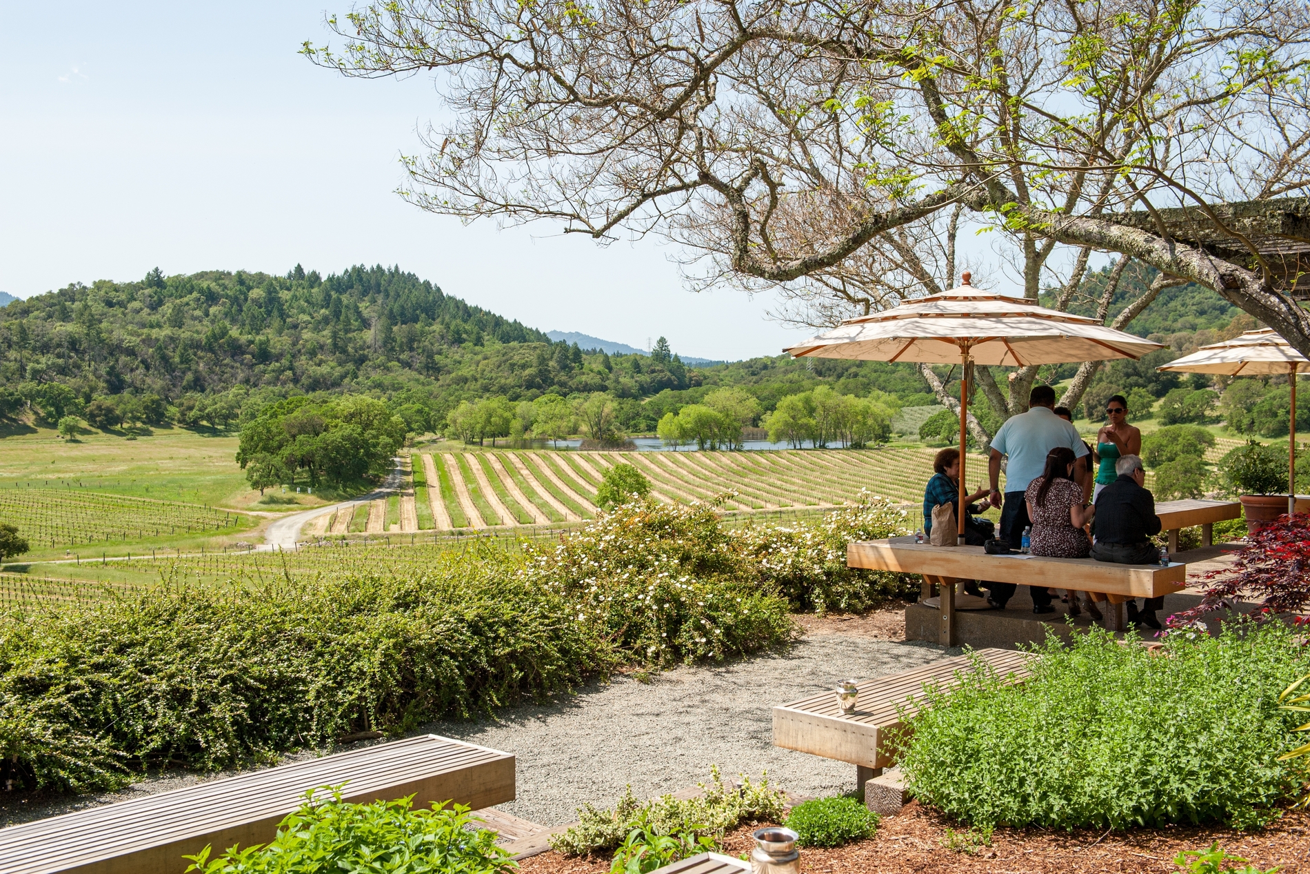 Napa Valley