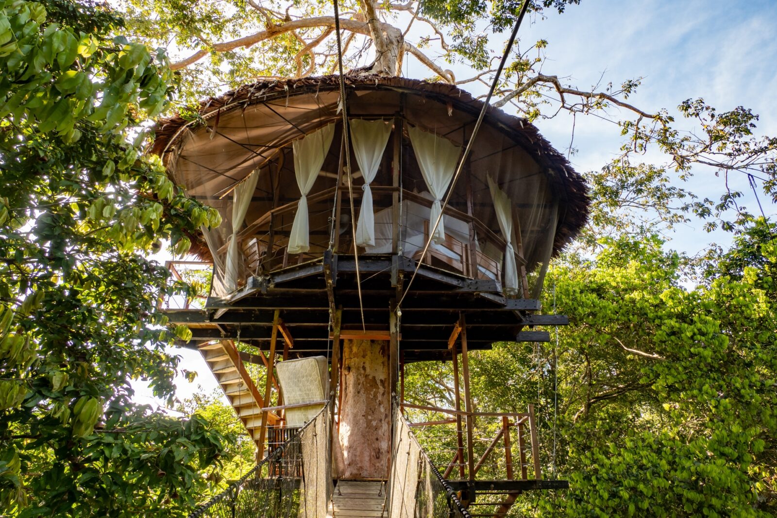 Canopy in the Amazon