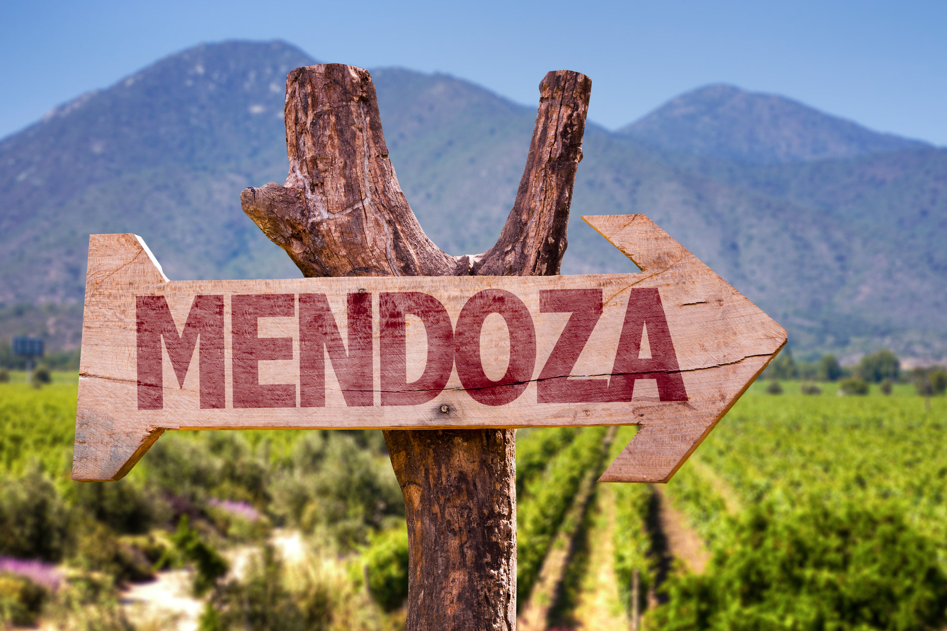 Mendoza in Argentina
