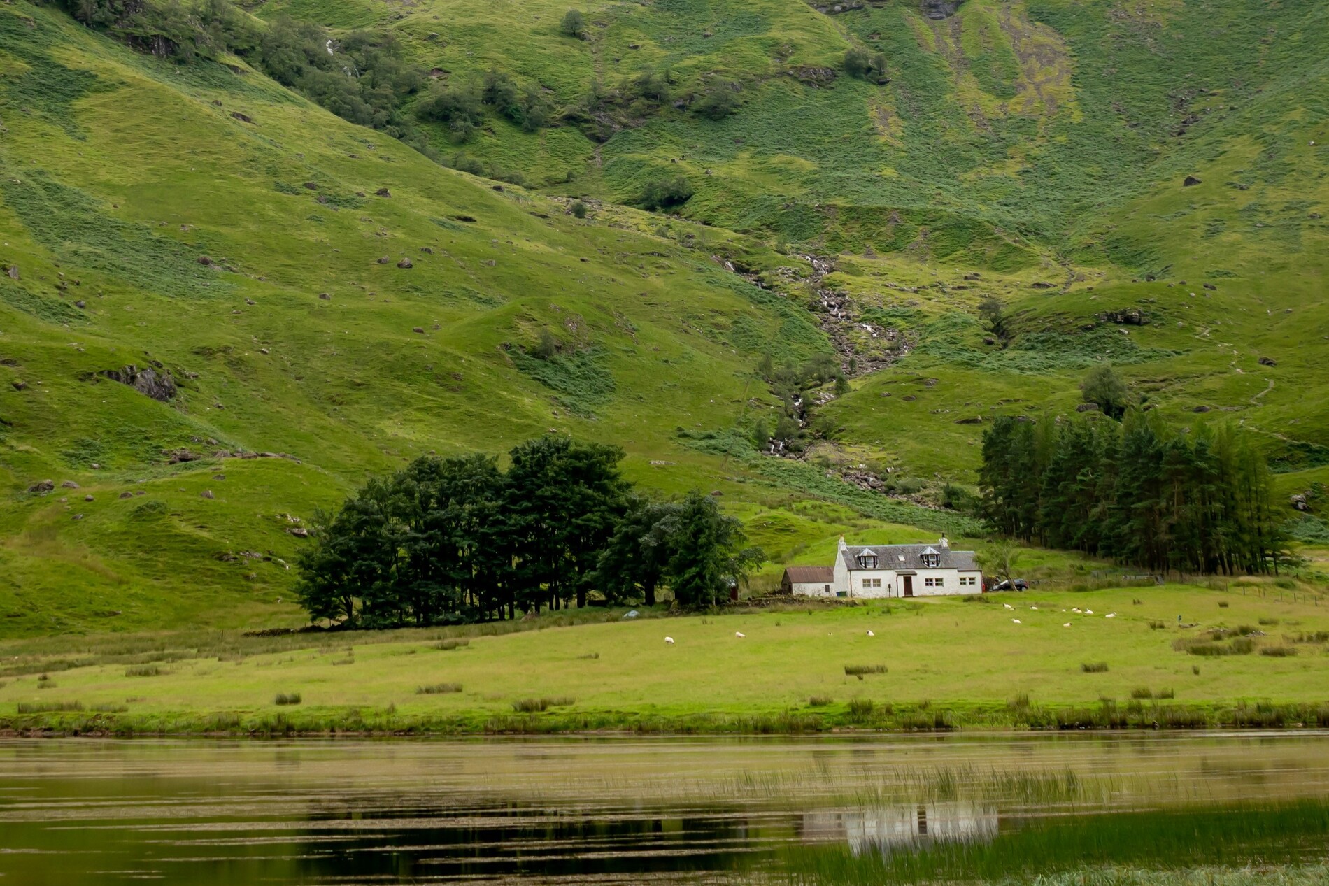 Scotland hihglands