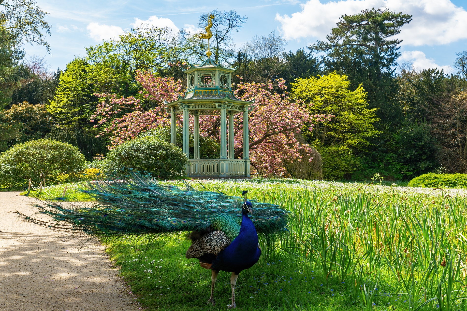 Parc de Bagatelle