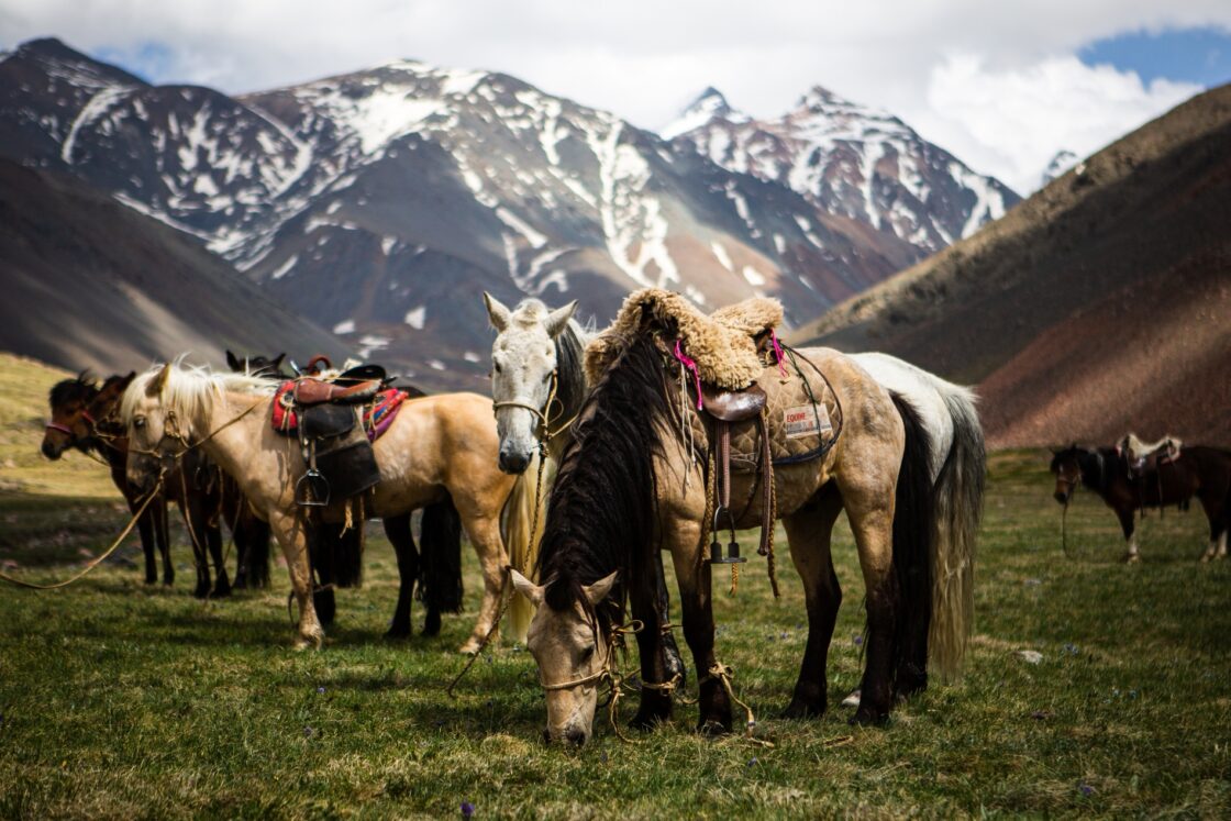Horse ridding in Mongolia