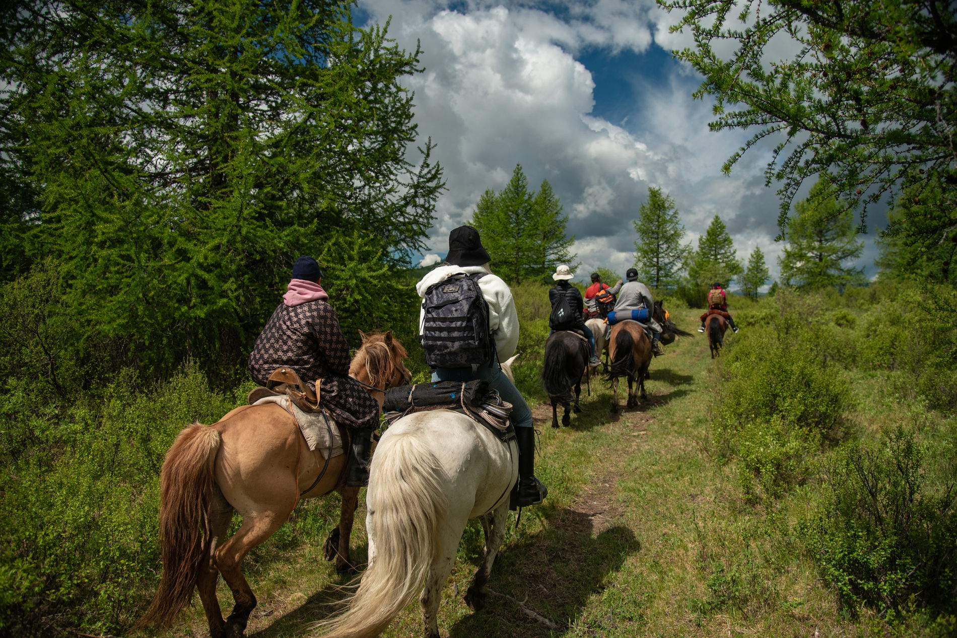 Travelers and horses