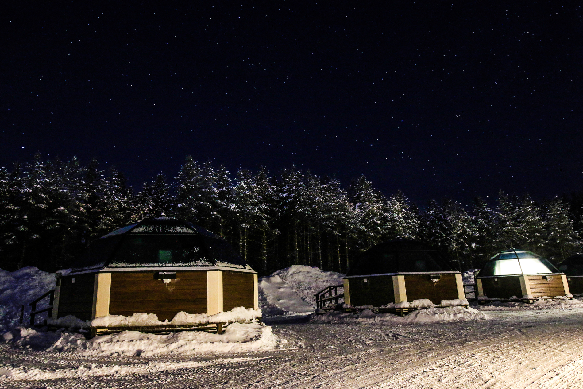 Artic at night