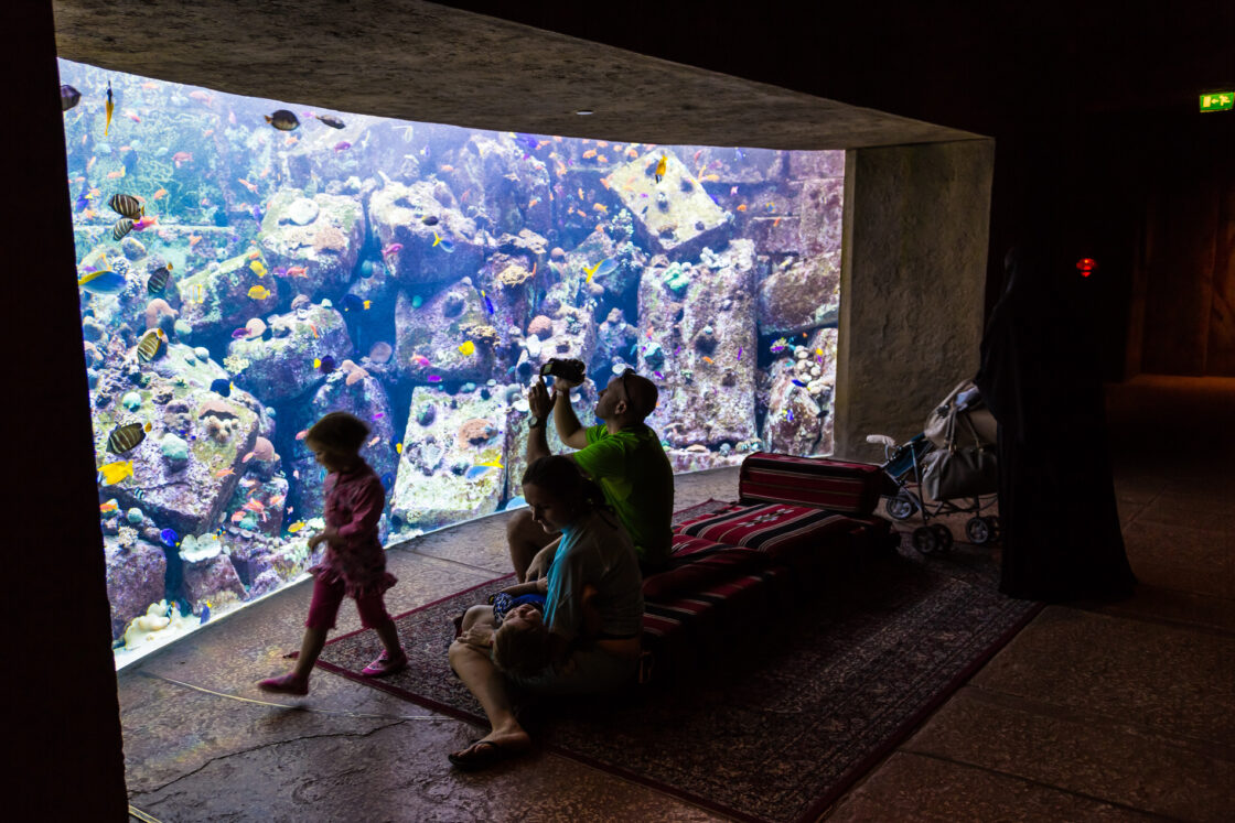 Ultra Exclusive Underwater Suites