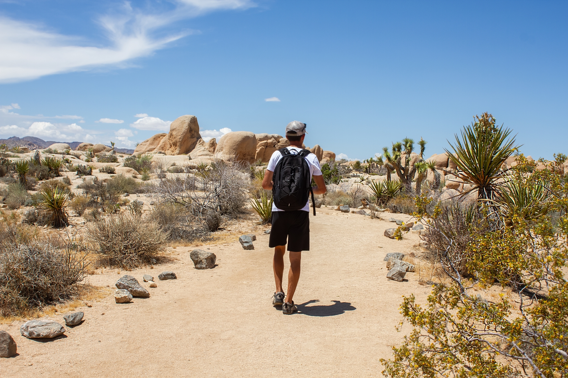 Walking in the Desert