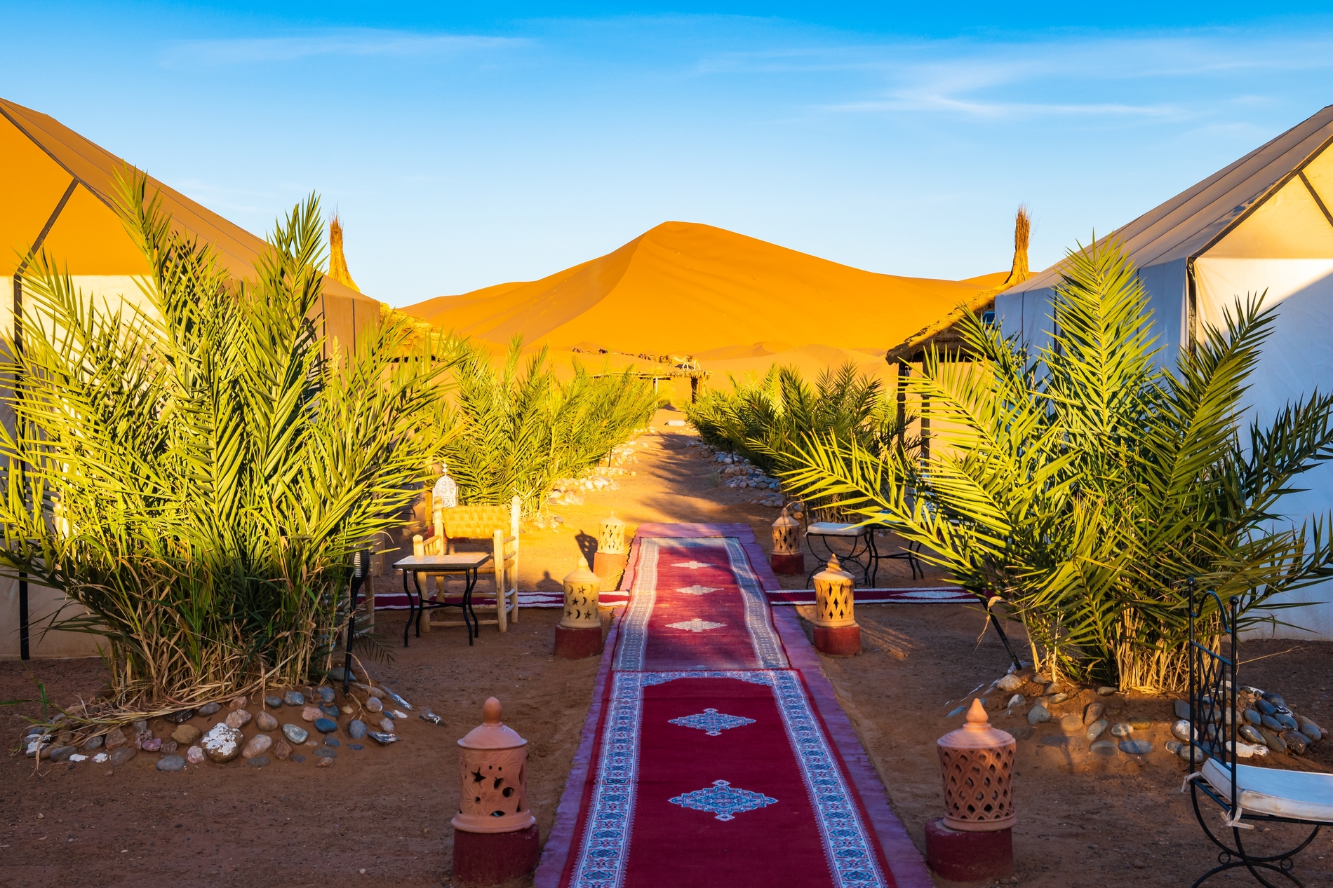 Desert Camp