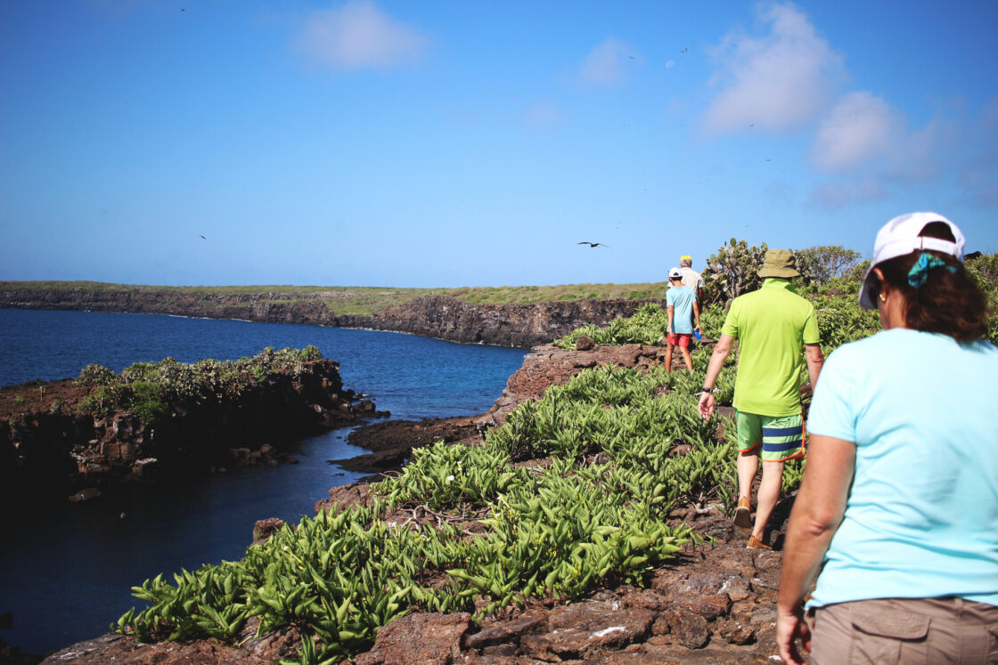 Galapagos for Families