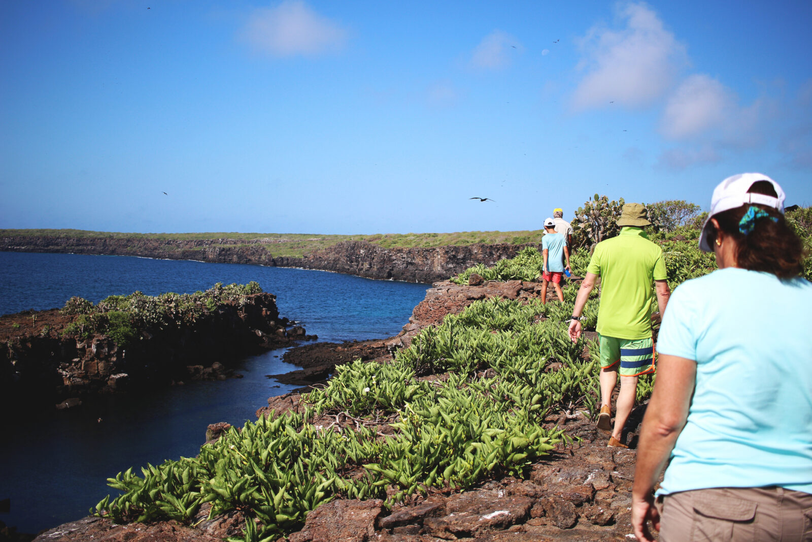 Galapagos for Families